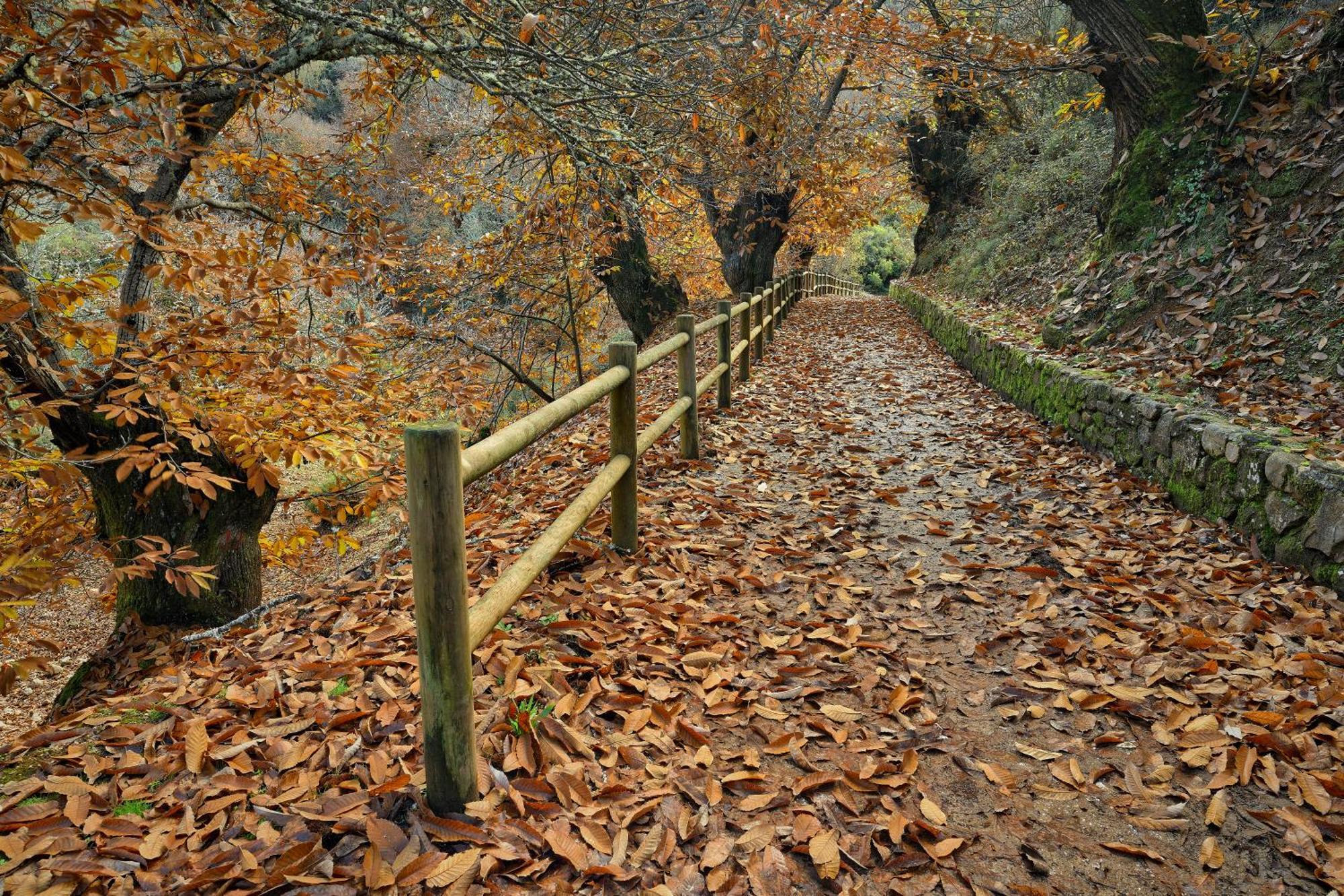 Lares - Cabanas Rurales Las Médulas Exterior photo